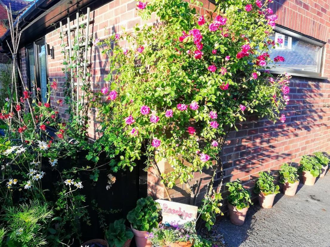Rosehips At Kerensa, Naburn Apartamento York Exterior foto